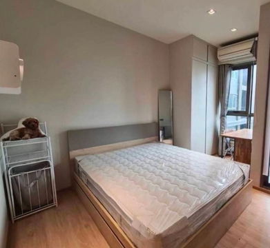 For rent condo Whizdom Ratchada Thapra 
