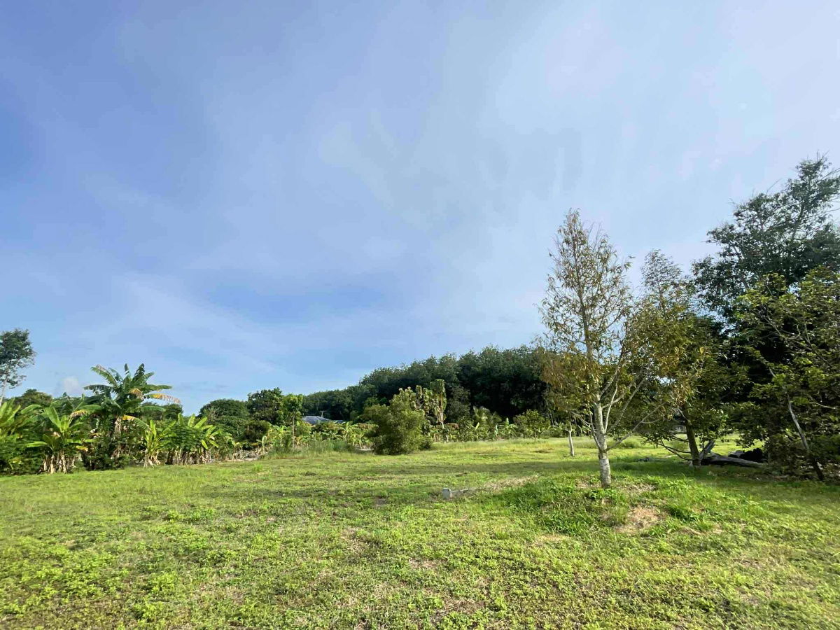 picture vacant land sale Rayong Thailand - 10/12