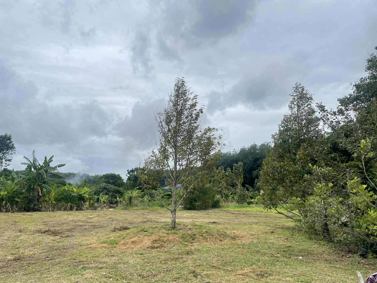 picture vacant land sale Rayong Thailand - 3/12