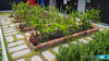 listing thumbnail image 29