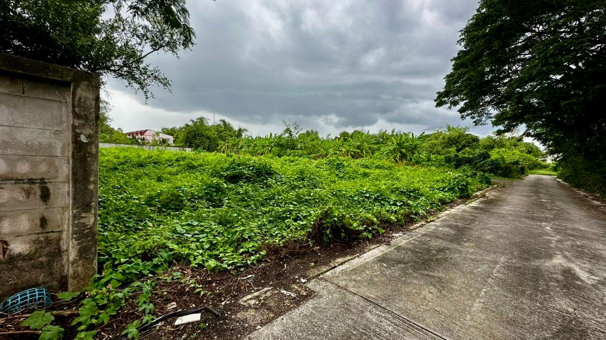 รูป ขายที่ดินถมแล้ว 403 ตร.ว. ซอยประสิทธิ์พัฒนา ถนนบางระมาด ใกล้ถนนพุทธมณฑลสาย 1 และถนนกาญจนาภิเษก - รูปที่ 4/7