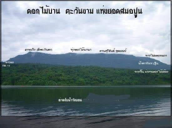 รูป ขายที่ดินวิวเขาใหญ่ เนินผาสุก ดงขี้เหล็ก ปราจีนบุรี – 2 ไร่ 1 งาน 10 ตร.วา พร้อมสวนผลไม้ - รูปที่ 11/11