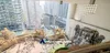 listing thumbnail image 19