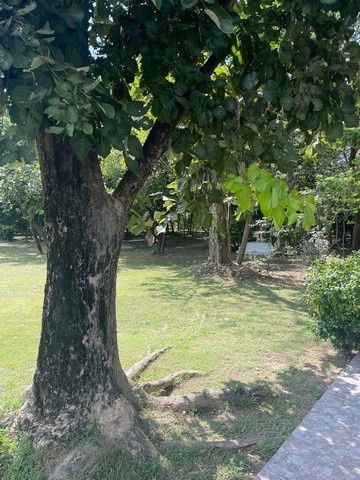รูป ขายที่ดินพร้อมบ้านหรูสองชั้นหลังใหญ่ ใกล้ตัวเมืองนครนายก - รูปที่ 5/16