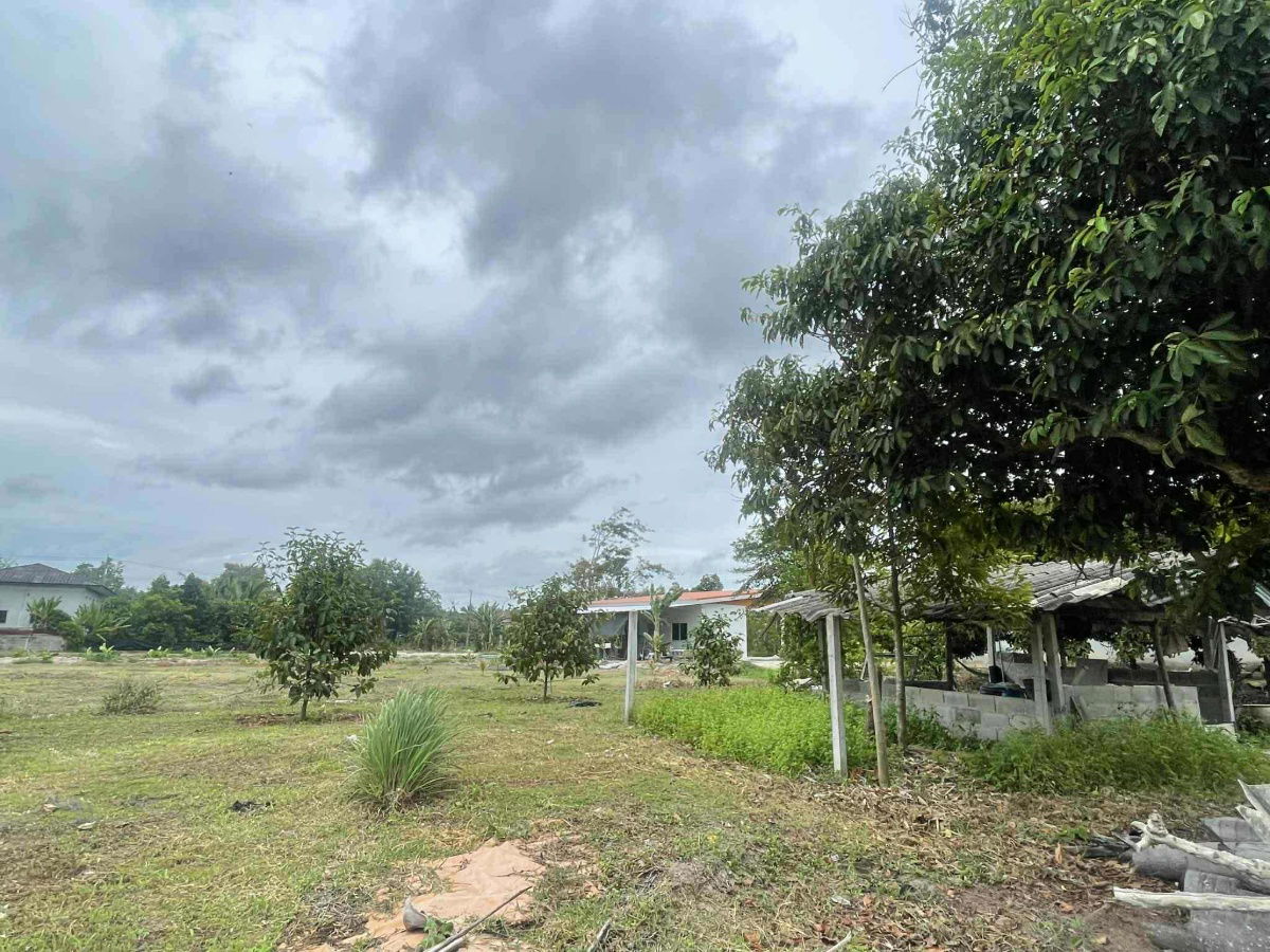 picture vacant land sale Rayong Thailand - 8/12
