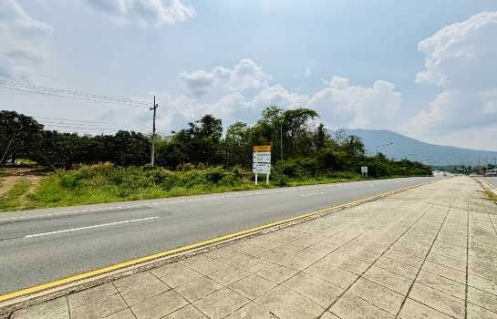 picture Land for sale in Chanthaburi, Soi Dao, Tamul, size 10 rai 3 ngan 62 sq wa, next to the main road. - 6/7