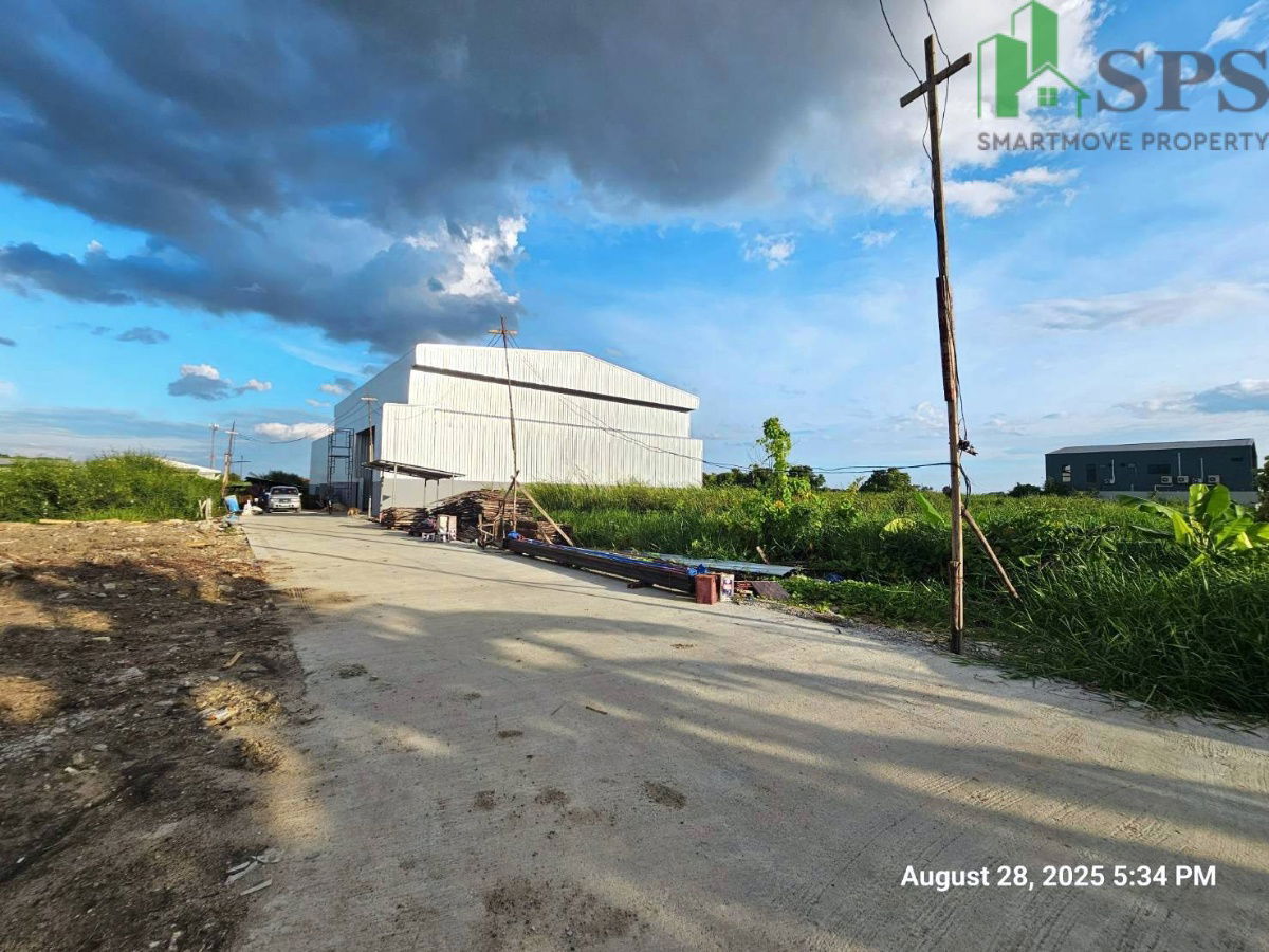 picture For Rent: Brand New Warehouse – Sridan 22, Srinakarin Road (SPSP618) - 12/13