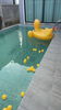 listing thumbnail image 16
