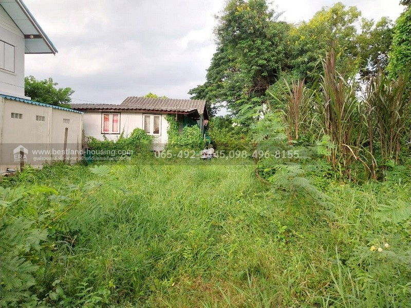 รูป ขายที่ดิน 100 ตร.วา ซ.สายไหม2 หรือ เข้าซอยพหลโยธิน54/1แยก8 เหมาะสร้างบ้านอยู่อาศัย เขตสายไหม ใกล้แยกคปอ. โรงเรียนฤทธิยะวรรณาลัย - รูปที่ 5/25