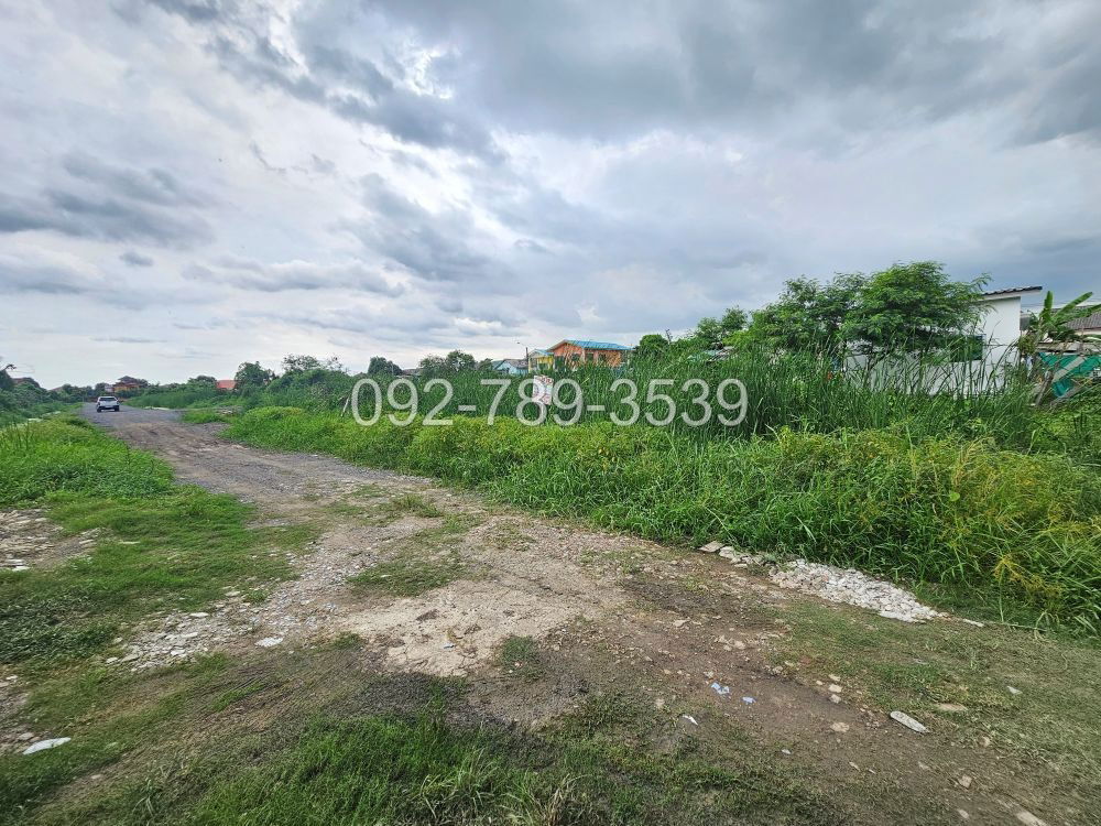 picture Land for Sale – Saimai 72 Alley 50 sq.war - 5/19