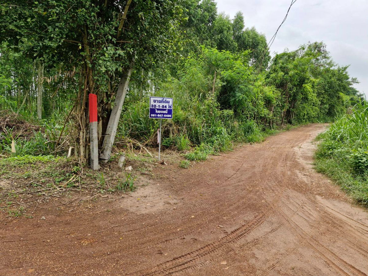 picture 32 rai agricultural land for sales in Phanomsarakarm district Chachoengsao province   - 4/8