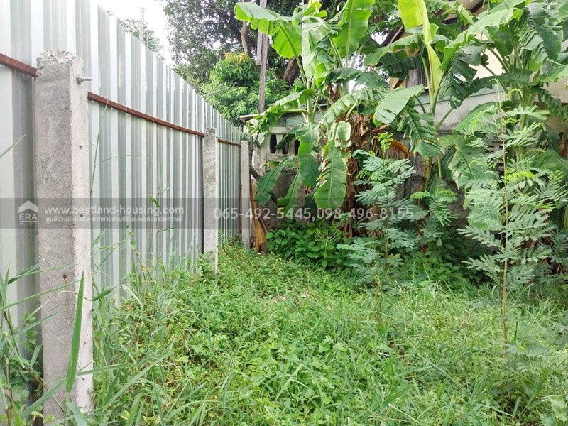 รูป ขายที่ดิน 100 ตร.วา ซ.สายไหม2 หรือ เข้าซอยพหลโยธิน54/1แยก8 เหมาะสร้างบ้านอยู่อาศัย เขตสายไหม ใกล้แยกคปอ. โรงเรียนฤทธิยะวรรณาลัย - รูปที่ 15/25