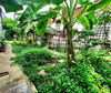 listing thumbnail image 22