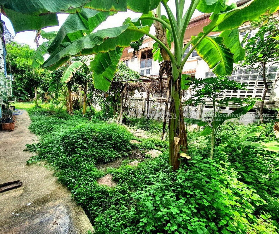 รูป ขายบ้านเดี่ยว หมู่บ้านแสงชัยนิเวศน์ ปทุมธานี พื้นที่ 100 ตรว. ใกล้ รพ.ปทุมธานี,บิ๊กซี ปทุมธานี และโลตัสปทุมธานี - รูปที่ 23/25