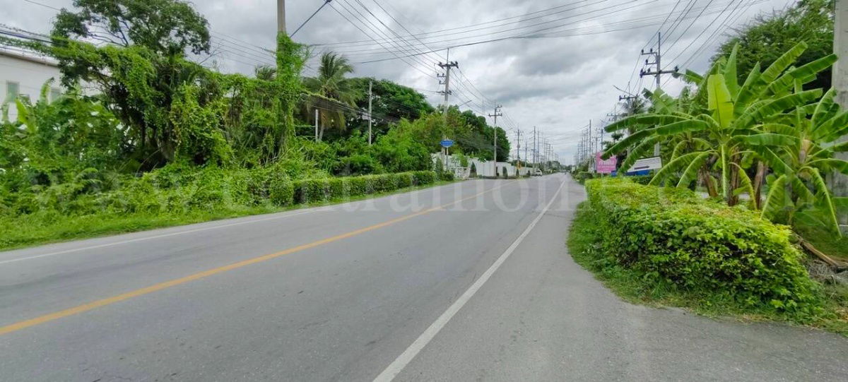รูป บ้านเดี่ยว 1-1-84 ไร่ ซอยอ้อมใหญ่ สามพราน - นครปฐม ราคาถูก - รูปที่ 19/20