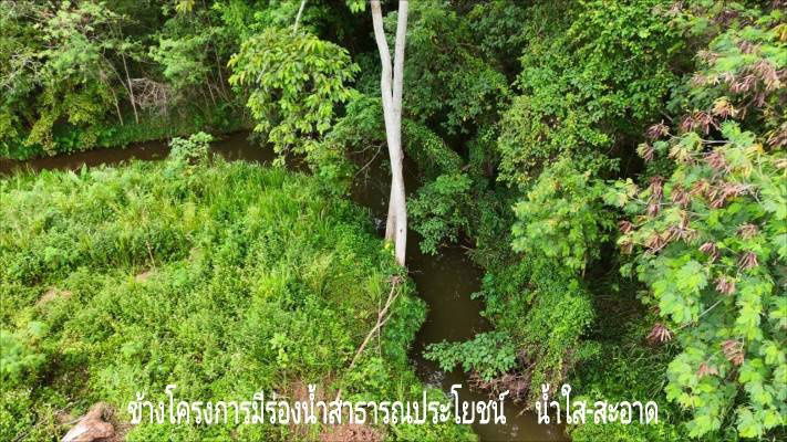 picture  Land for a retirement home, Moo Si Subdistrict, Khao Yai - 7/10