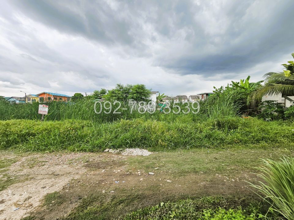 picture Land for Sale – Saimai 72 Alley 50 sq.war - 2/19
