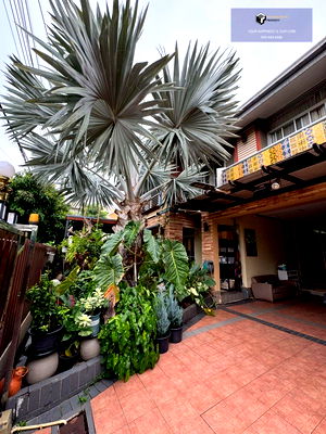 บ้านเดี่ยว สนามบินดอนเมือง : Homeplace Rangsit | บ้านเดี่ยว 2 ชั้น และออฟฟิศ รวม 2 หลัง หน้าบ้านหันทิศเหนือ หลังหัวมุม #2025082911585