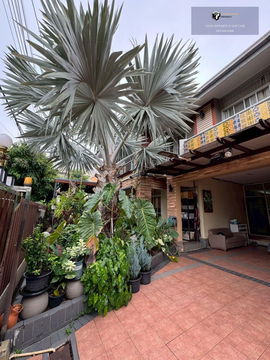 Homeplace Rangsit | 2-storey detached house and office, total 2 units, north-facing front, corner unit #2025082911585