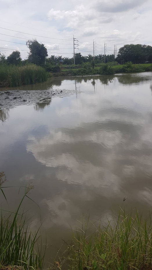picture 🔥 Land for Sale – 16 Rai 127 Sq. Wah 🌳 Prime Location near Wat Lad Bua, Ban Pho, Chachoengsao 🔥 - 6/11