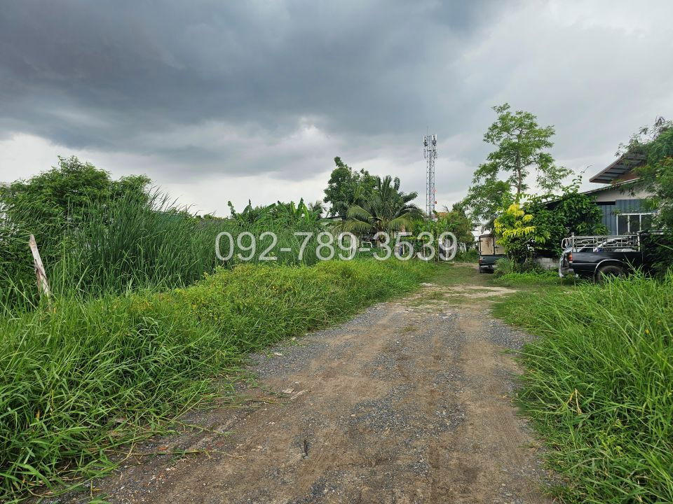 picture Land for Sale – Saimai 72 Alley 50 sq.war - 12/19
