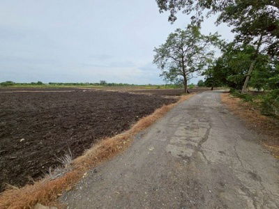รูป ที่ดิน สร้างโกดัง สร้างบ้านจัดสรร สร้างบ้านเช่า เนื้อที่ 17 ไร่ ขายไร่ละ 7.5 แสน เมือง ลพบุรี - รูปที่ 8/8