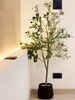 listing thumbnail image 11