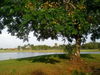 listing thumbnail image 32