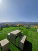 listing thumbnail image 12
