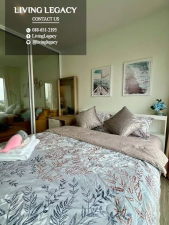 picture T1QDOZ Condo For Rent Regent Home Bangna 28 Sq.M. Floor 10 Building B line id : @livinglegacy - 4/6