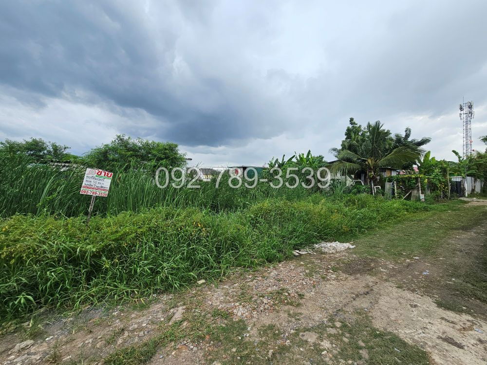 picture Land for Sale – Saimai 72 Alley 50 sq.war - 13/19