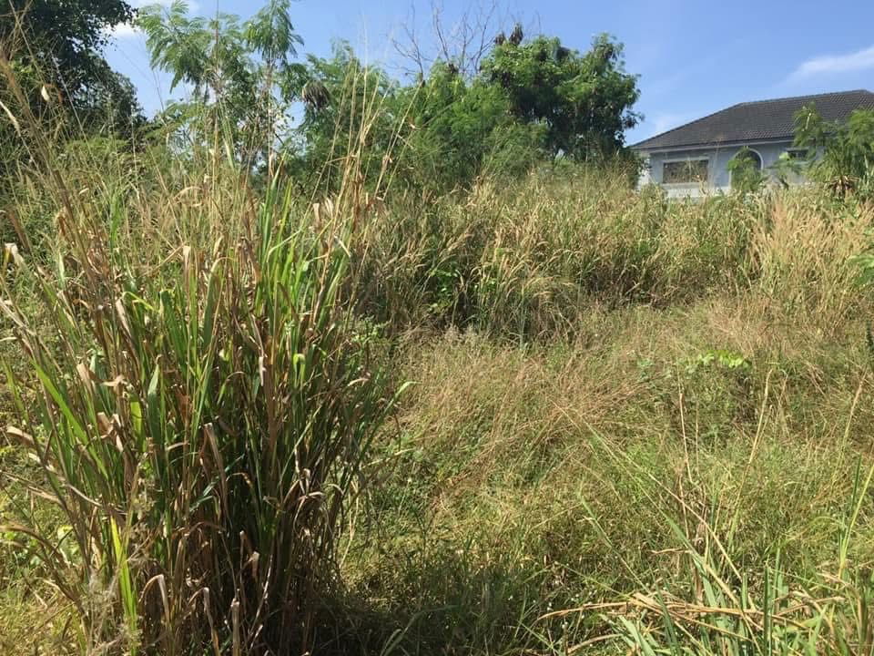 picture Land for sale - Near the community - 6/7