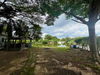 listing thumbnail image 28