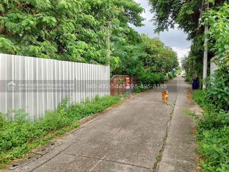 รูป ขายที่ดิน 100 ตร.วา ซ.สายไหม2 หรือ เข้าซอยพหลโยธิน54/1แยก8 เหมาะสร้างบ้านอยู่อาศัย เขตสายไหม ใกล้แยกคปอ. โรงเรียนฤทธิยะวรรณาลัย - รูปที่ 8/25
