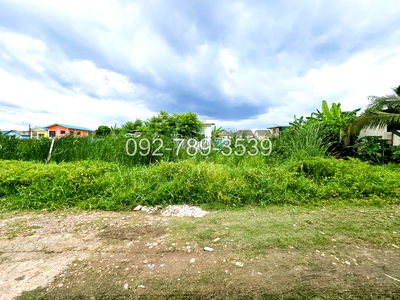 Land for sale Lumlukka Road : Land for Sale – Saimai 72 Alley 50 sq.war