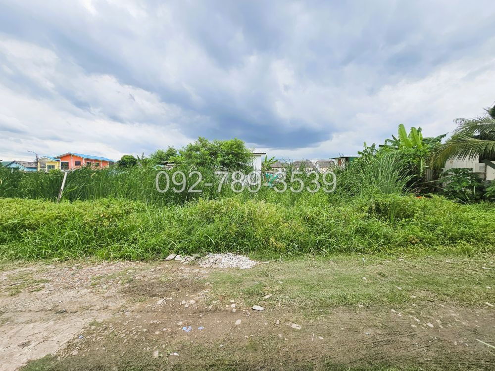 picture Land for Sale – Saimai 72 Alley 50 sq.war - 1/19