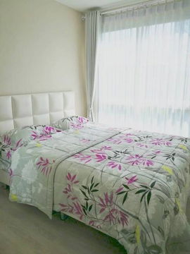 P-104757 Condo for rent Metro Luxe Kaset fully furnished (Confirm again when visit). 
