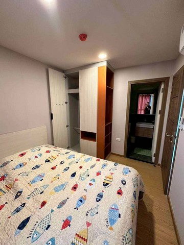 picture C6039 Rent  :  Condo  THE CUBE LOFT Srinakarin - Theppharak ( BTS Bearing ) 064 665 4666 - 2/13