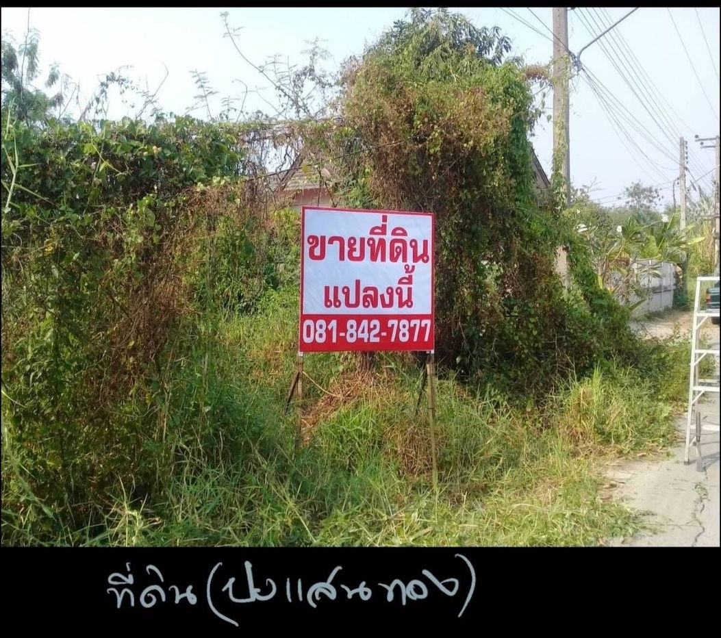 รูป ขายที่ดินเปล่าลำปางทางไปเชียงใหม่ 100.70 ตรว. - รูปที่ 1/4