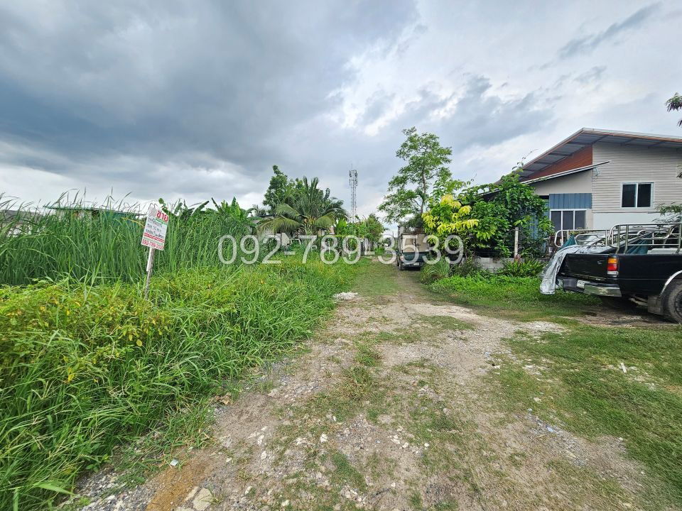 picture Land for Sale – Saimai 72 Alley 50 sq.war - 10/19