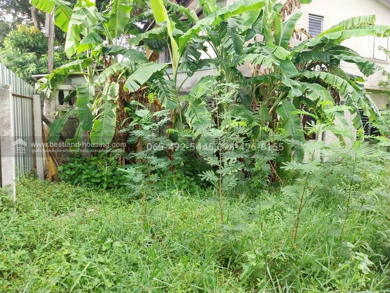 รูป ขายที่ดิน 100 ตร.วา ซ.สายไหม2 หรือ เข้าซอยพหลโยธิน54/1แยก8 เหมาะสร้างบ้านอยู่อาศัย เขตสายไหม ใกล้แยกคปอ. โรงเรียนฤทธิยะวรรณาลัย - รูปที่ 14/25