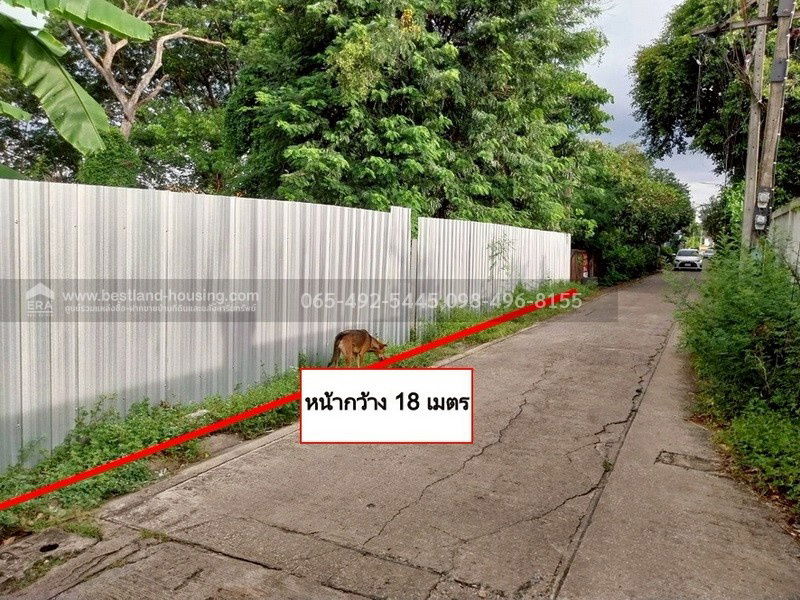 รูป ขายที่ดิน 100 ตร.วา ซ.สายไหม2 หรือ เข้าซอยพหลโยธิน54/1แยก8 เหมาะสร้างบ้านอยู่อาศัย เขตสายไหม ใกล้แยกคปอ. โรงเรียนฤทธิยะวรรณาลัย - รูปที่ 2/25