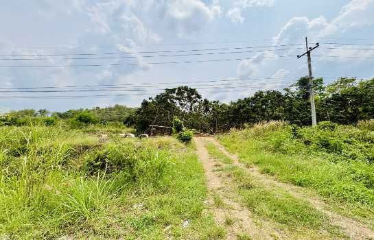 picture Land for sale in Chanthaburi, Soi Dao, Tamul, size 10 rai 3 ngan 62 sq wa, next to the main road. - 2/7