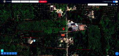 Land for sale : 🌳#Rubber plantation land for sale, more than 1 rai🌳