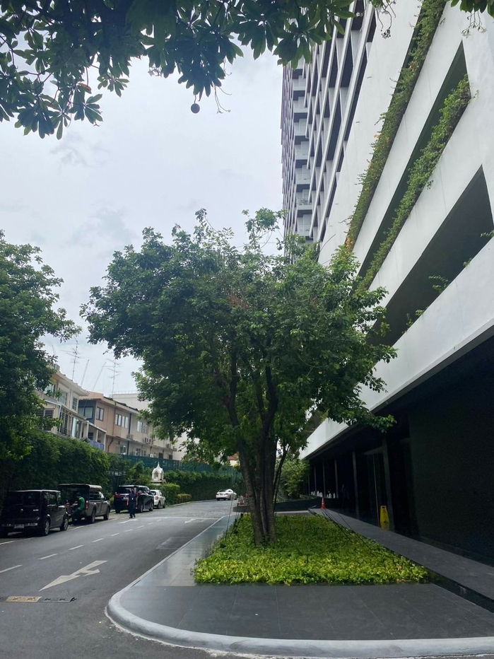 รูป 🏢 ขายคอนโด : Noble Ora Thonglor (โนเบิล ออรา ทองหล่อ )   รหัสทรัพย์ | 📌LNP-C9056  - รูปที่ 8/52