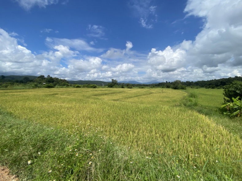 รูป ขาย ที่ดิน โอกาสทอง! ขายที่ดินแปลงสวย วิวภูเขา มีน้ำล้อมรอบ ใกล้โรงเรียนนานาชาติแม่ริม เชียงใหม่ ที่ดินนอกโครงการ 5 ไร่ 2 งาน 28 ตรว. - รูปที่ 3/10