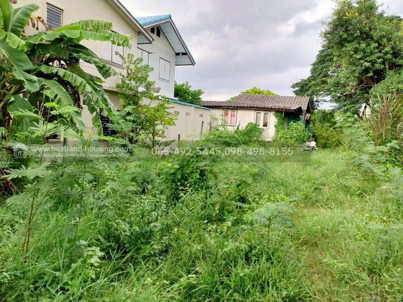 รูป ขายที่ดิน 100 ตร.วา ซ.สายไหม2 หรือ เข้าซอยพหลโยธิน54/1แยก8 เหมาะสร้างบ้านอยู่อาศัย เขตสายไหม ใกล้แยกคปอ. โรงเรียนฤทธิยะวรรณาลัย - รูปที่ 13/25