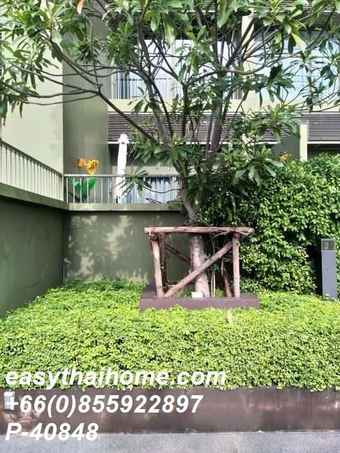 รูป P-40848 ให้เช่า คอนโด โนเบิล โซโล Thong Lo, Khlong Tan Nuea, Watthana, Bangkok พร้อมอยู่ ราคาถูก Line Id @easythaihome 085-592-2897 - รูปที่ 36/36