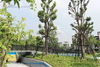 listing thumbnail image 19