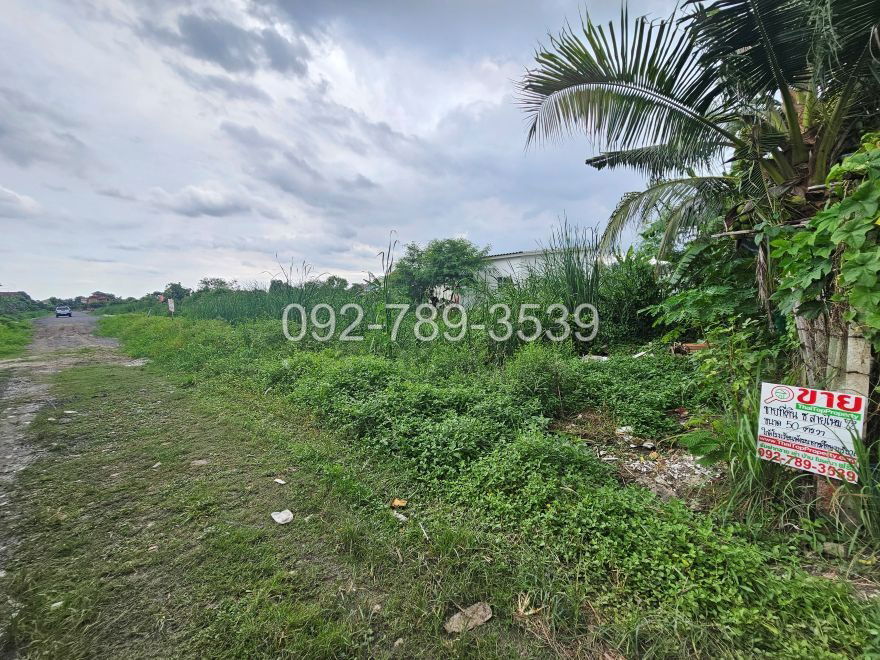 picture Land for Sale – Saimai 72 Alley 50 sq.war - 9/19